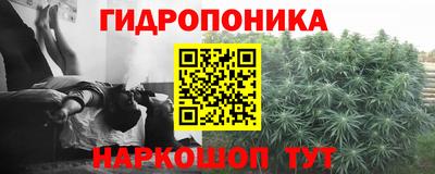 гидропоника Новокубанск