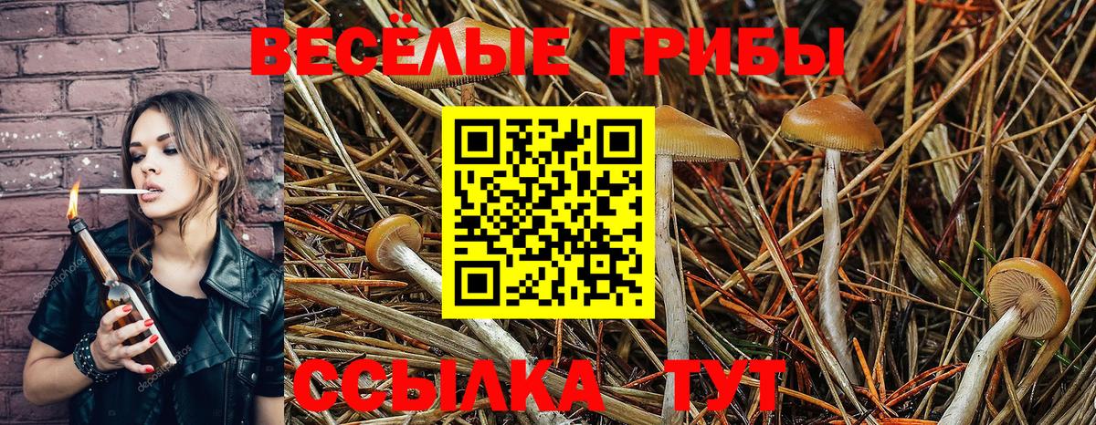 Галлюциногенные грибы мицелий  Вход с VPN  Сокол 