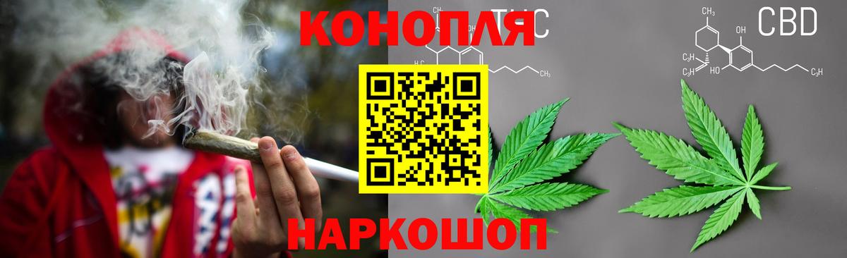 Шишки марихуана план Сокол